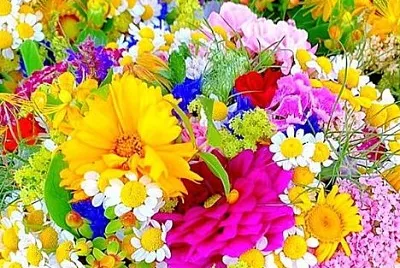 פאזל של flower