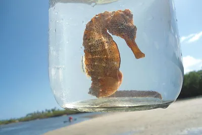 Porto de Galinhas/PE