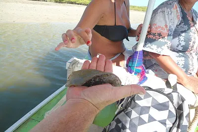 Porto de Galinhas/PE