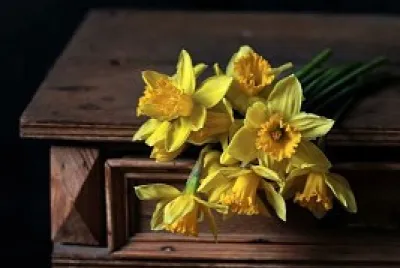 פאזל של flores