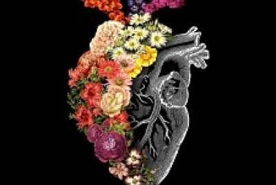 corazon