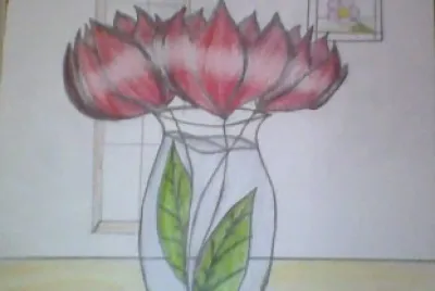 foi eu que desenhei