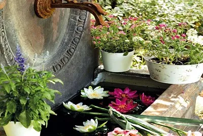 flores