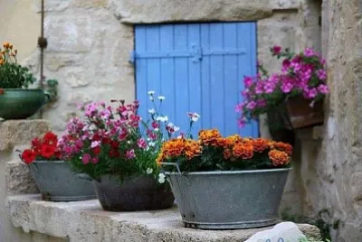 פאזל של ventana