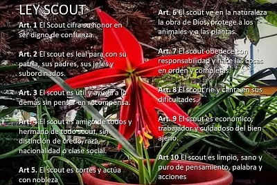 Ley Scout