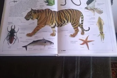 ARTICULO ENCICLOPEDICO