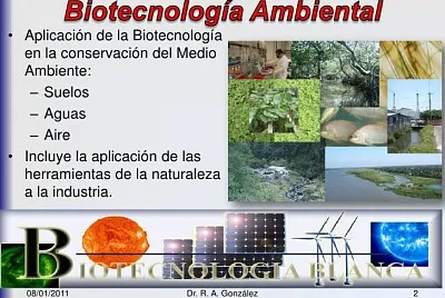 BiotecnologÃ­a en le ambiente