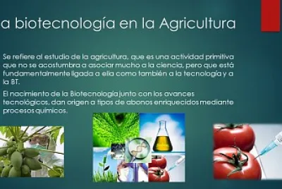 BiotecnologÃ­a en la agricultura
