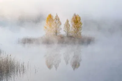brume