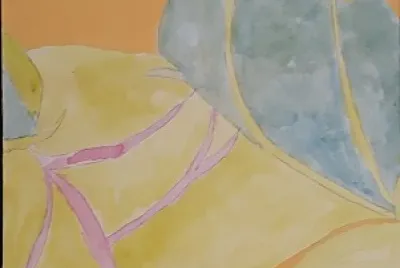 24
