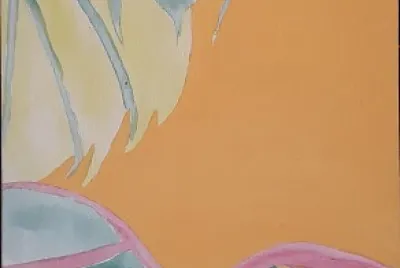 27