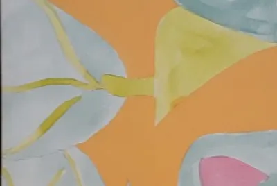 29