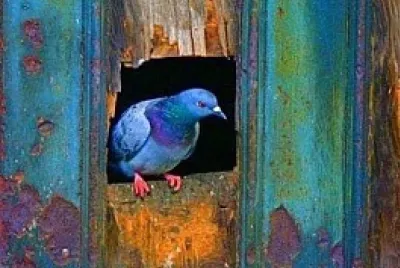 cores jigsaw puzzle