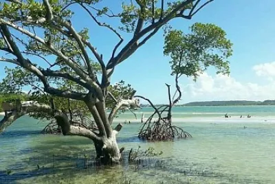 imagem jigsaw puzzle