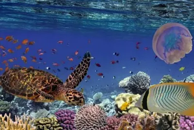 mar