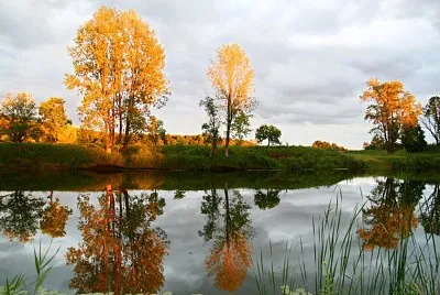 effet miroir