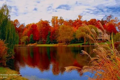 automne