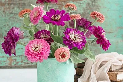 flores