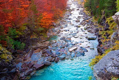 otoÃ±o en el arroyo jigsaw puzzle