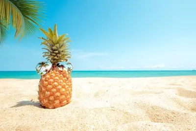 Sunglasses and pineapple