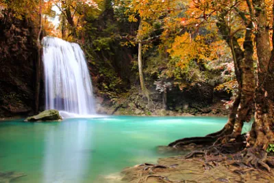 Forest waterfall
