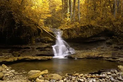 Cascada forestal