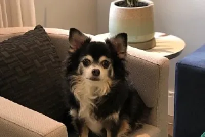 Nick na Poltrona em sua casa