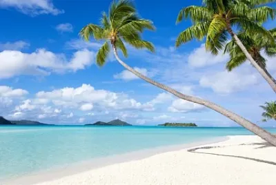 Tropical beach