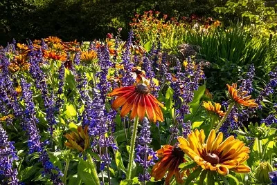 פאזל של flores
