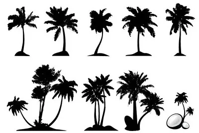 Tipos de palmeras