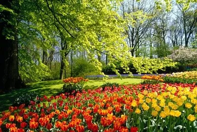 bosque jardin jigsaw puzzle