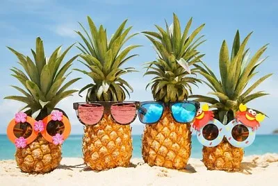 Ananas y lentes de sol