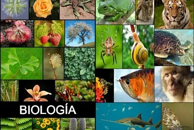 BIOLOGIA