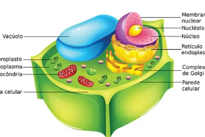 CÃ‰LULA VEGETAL