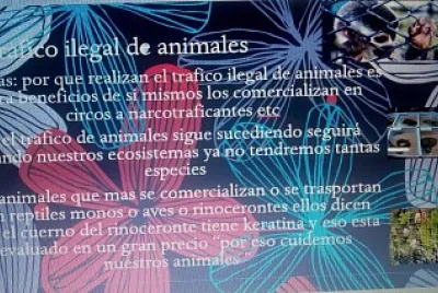 causas del trafico de animales