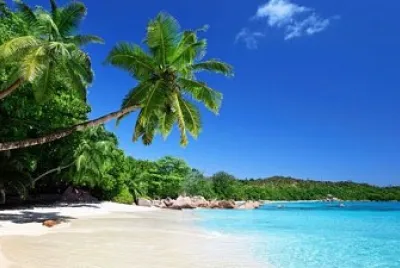 Tropical landscape jigsaw puzzle