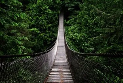 Forest bridge jigsaw puzzle