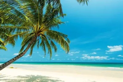 Playa solitaria jigsaw puzzle