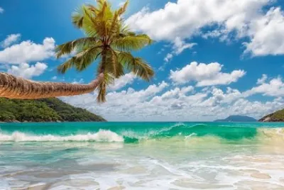 Tropical waves jigsaw puzzle