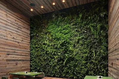 Green wall