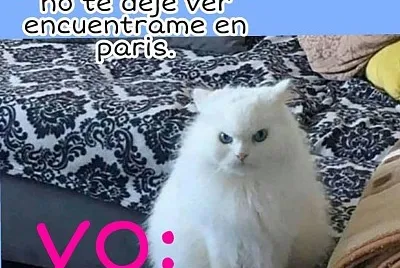 memes
