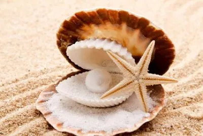 Pearl, starfish and seashells