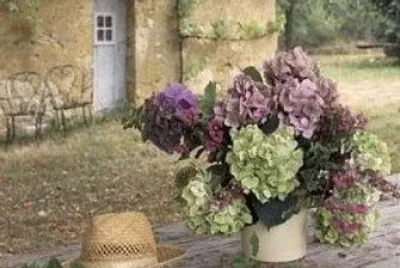 jardÃ­n