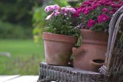 flores