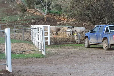 פאזל של farm