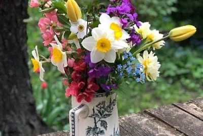 flores