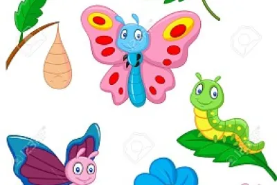 MARIPOSA