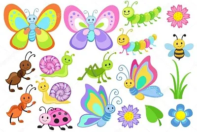 MARIPOSA