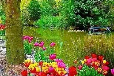 jardin bosque jigsaw puzzle