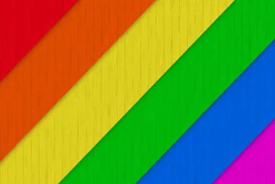 colorido jigsaw puzzle